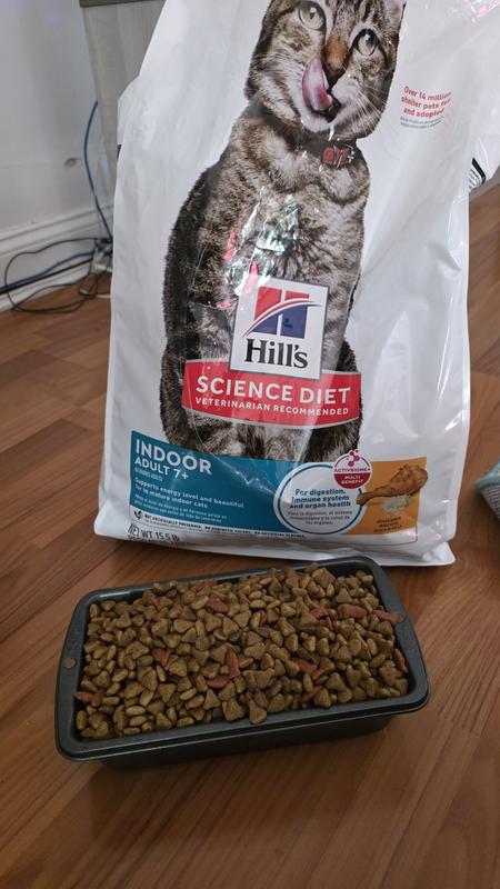 Senior Cat, Superfood