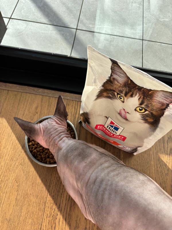 Loving His New Food