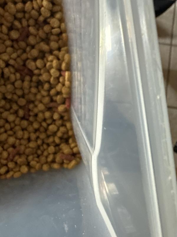 Small bites