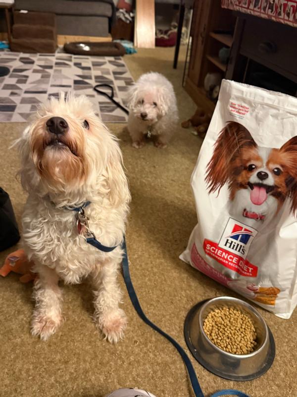 Hill's Science Diet Adult Light Small & Mini Chicken & Barley Dog