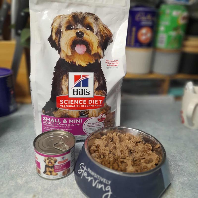 Hill's Science Diet Adult Small Paws Dry Dog Food, Lamb Meal