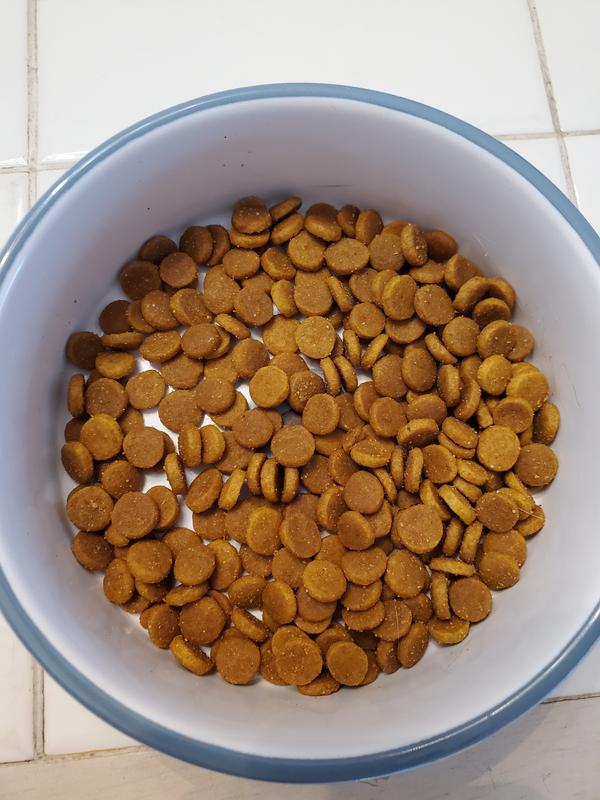 Review photo 1.