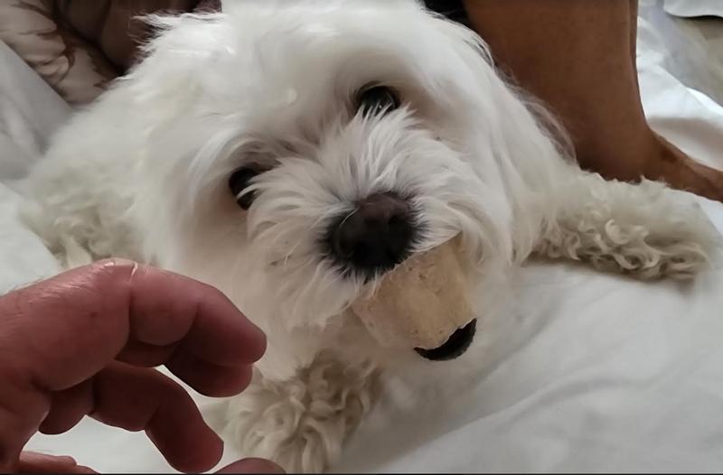 Me and my bone.