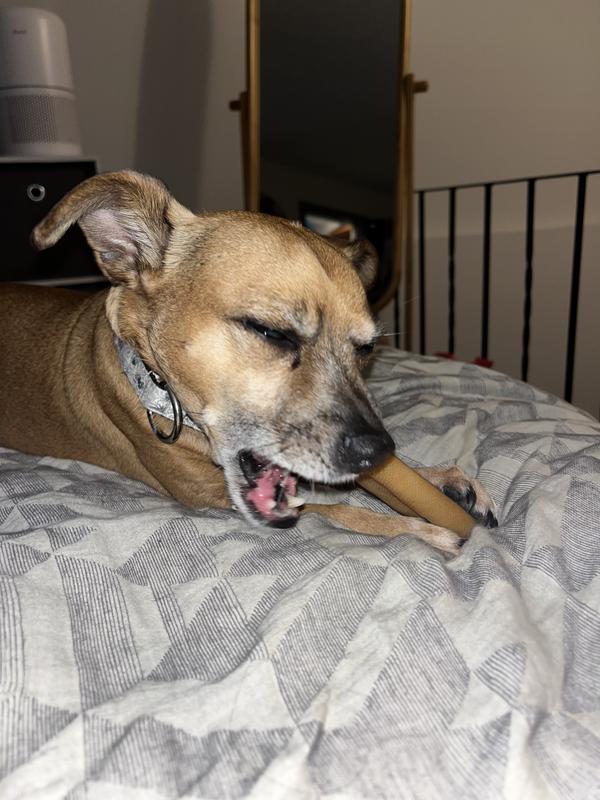 Goodnight Chomps