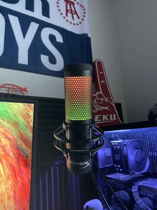 Mic in setup