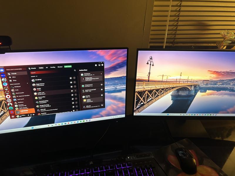 Hp monitors