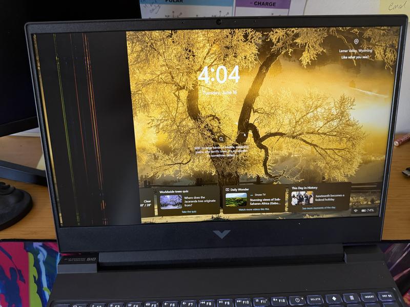 HP Victus 15.6 inch Gaming Laptop 15-fa2446TX, Pink - 15.6