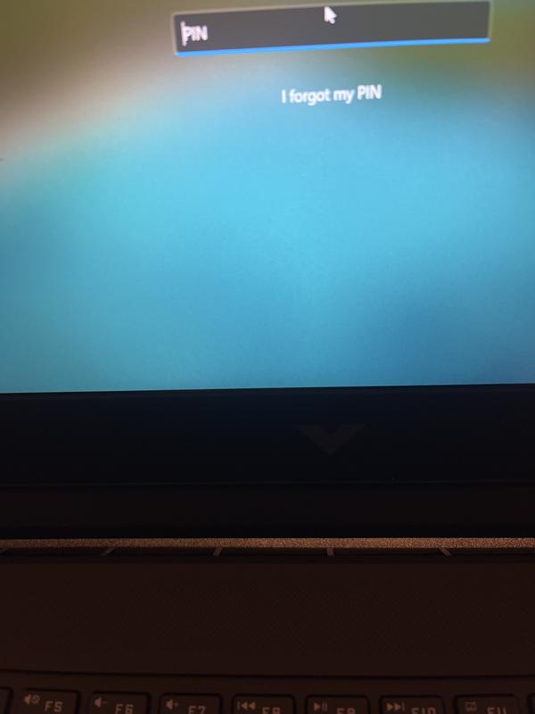 Photo from Rubbish laptop.