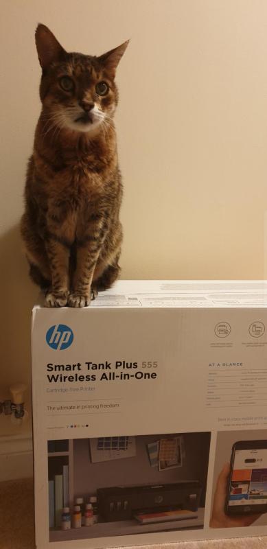 Stampante multifunzione wireless HP Smart Tank Plus 555 - HP Store Italia