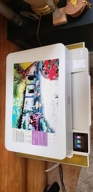 Customer photo 1 of 2. Click to open full size image.