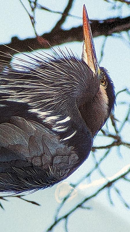 Customer photo 1 of 3. Click to open full size image.