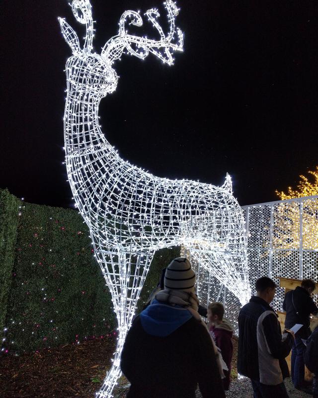 Customer photo 2 of 3. Click to open full size image.