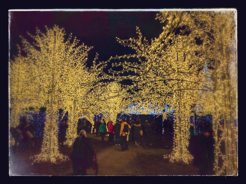 Customer photo 3 of 3. Click to open full size image.