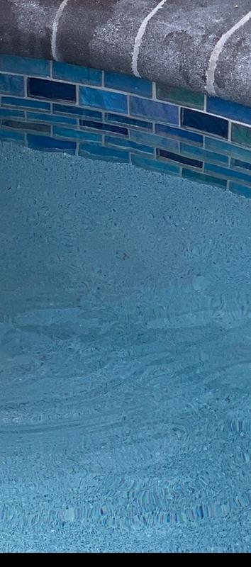 HTH 64-oz Pool Scale, Metal and Stain Control at Lowes.com