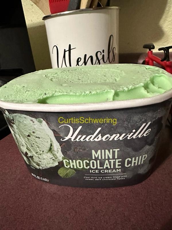 Mint Chocolate Chip 48 oz Ice Cream - Hudsonville Ice Cream