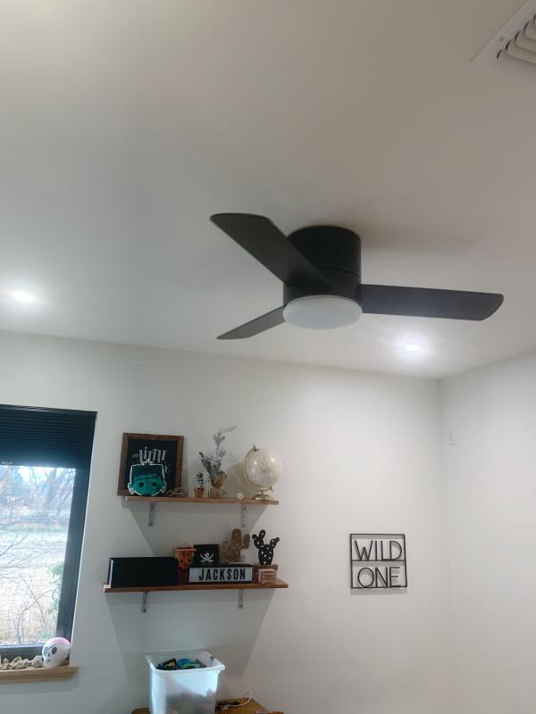 Minimus Low Profile With Led Light 44 Inch Ceiling Fan Hunter Fan