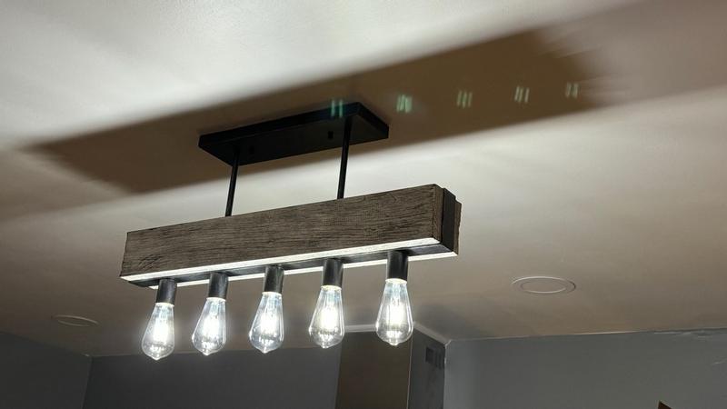 Hunter Donelson 5-Light Satin Black RusticBare Bulb Chandelier