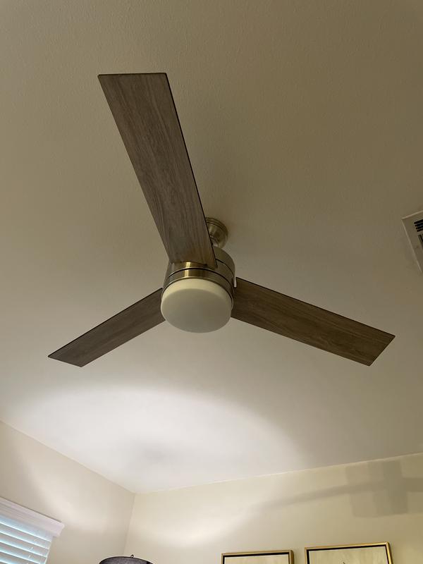 Hunter Exeter 3 Blade Led Ceiling Fan Shelly Lighting