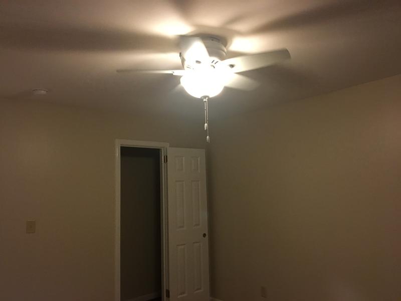 Newsome Low Profile With Light 42 Inch Ceiling Fan Hunter Fan