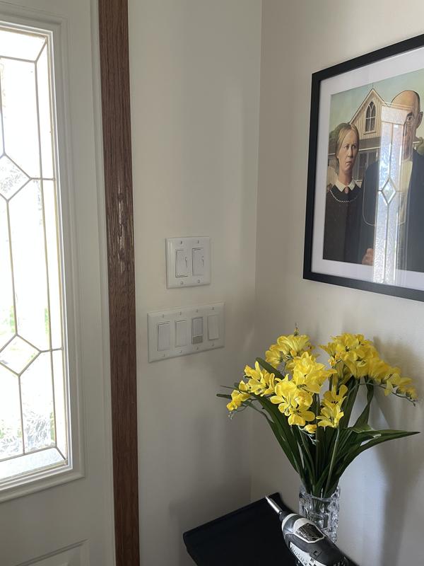 Two separate control switches