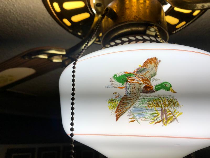 Love the Globe Design.