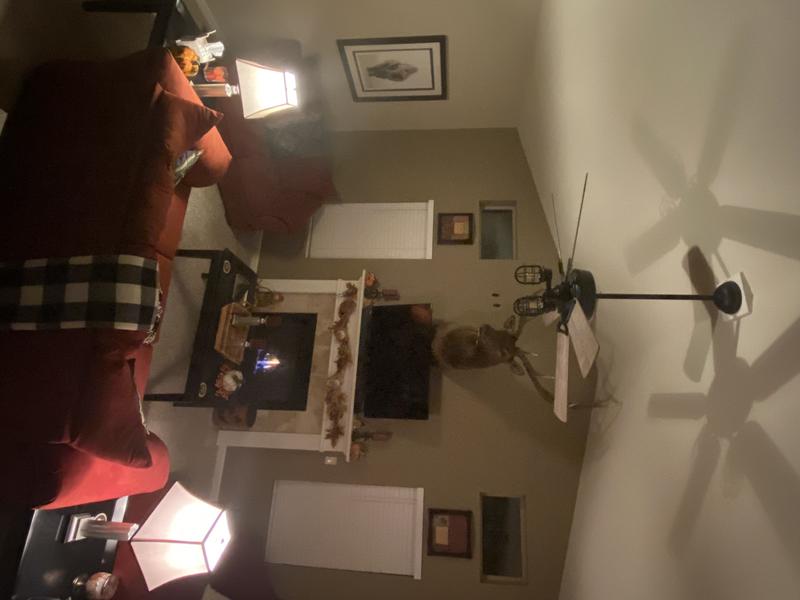 Review photo 4.