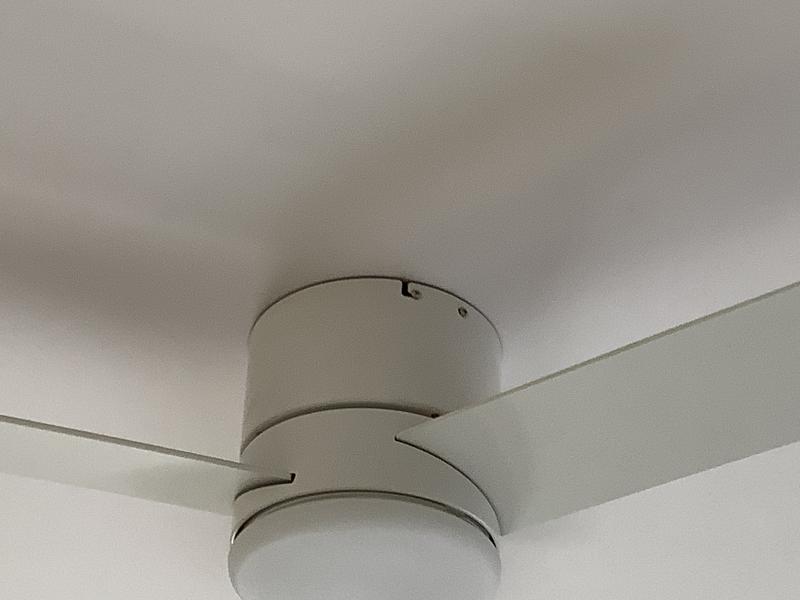 Exposed canopy screws