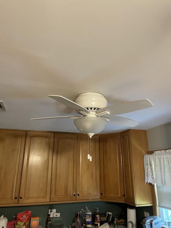 One of two in the kitchen