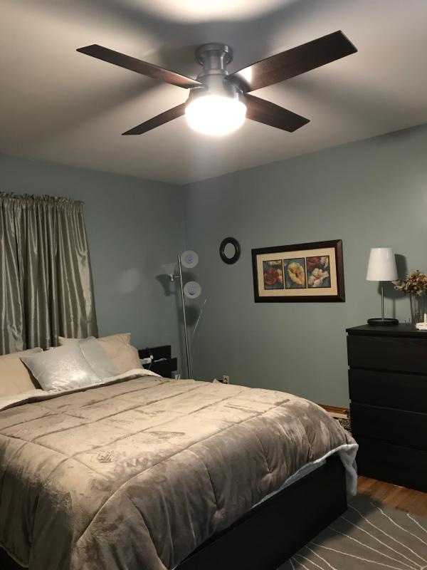 Dempsey Low Profile With Light 52 Inch Ceiling Fan Hunter Fan