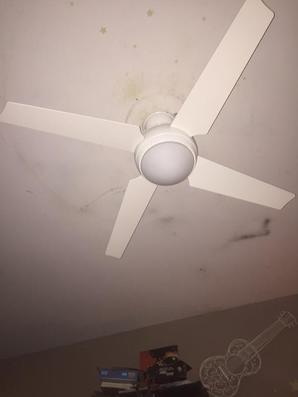 Ceiling Fan With Lights Sonora Hunter Fan