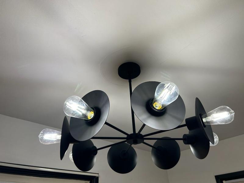 Hunter Fernando 8-Light Matte Black Modern/ContemporaryBare Bulb Chandelier