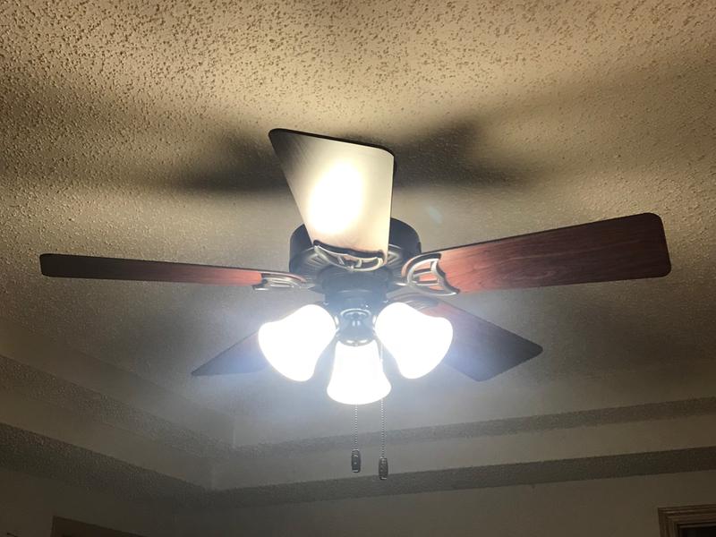 Hunter Quiet Breeze Ceiling Fan | Shelly Lighting