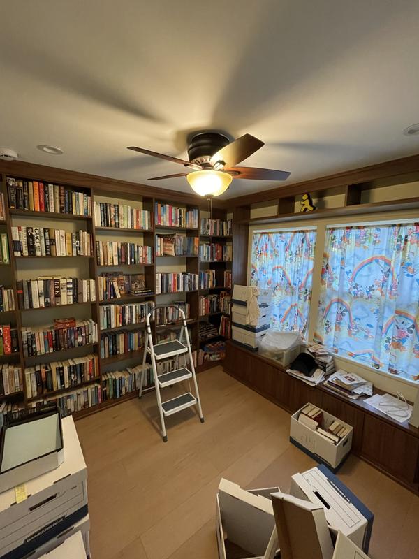 Fan in middle of ceiling