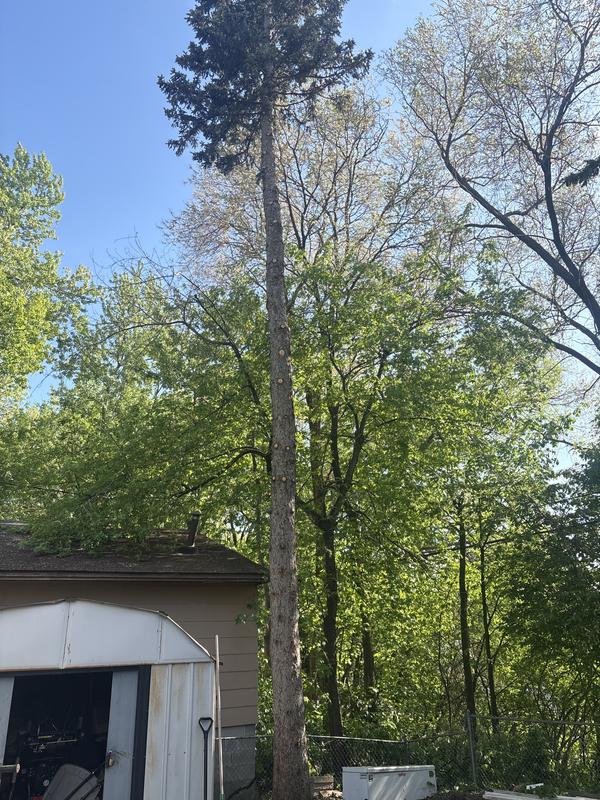 Wind picked up,had to call it