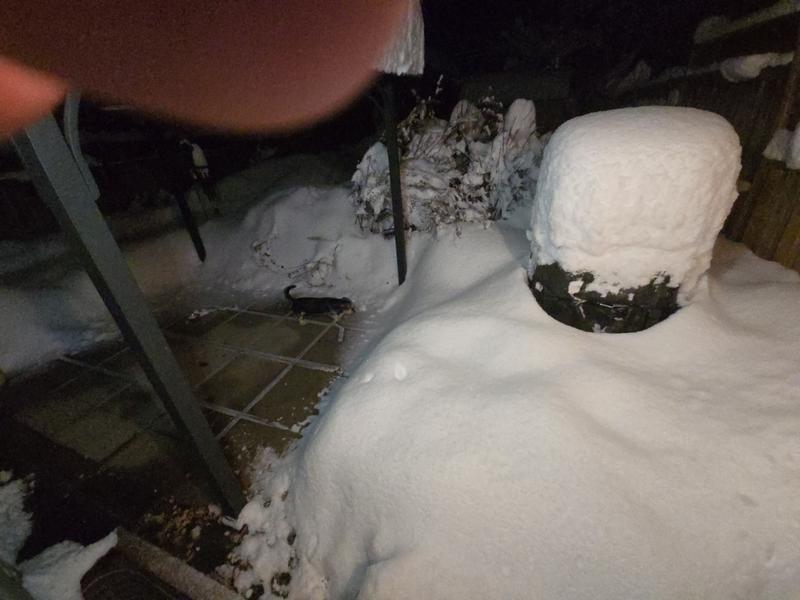 why we need a husqvarna ST 224 snowblower