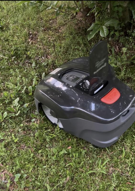 1st run and i let it hit tree and it turned around and I don't have to put island there