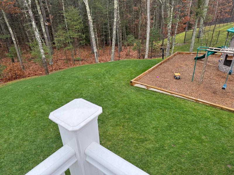 Right side of back yard.   Husqvarna Leaf Blower did a great job.  You should see the front yard!!!!!