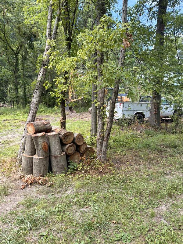Start of my pile of wood