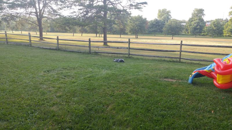 Taking care of the primary area, our backyard.