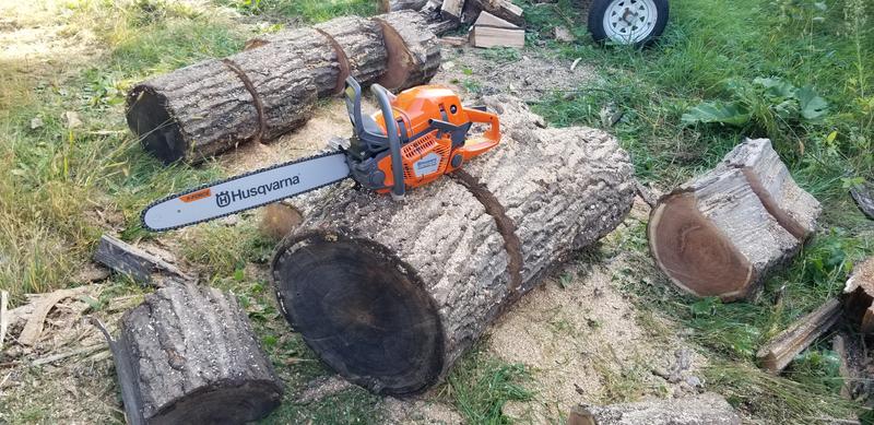 Photo - commentaire 4.