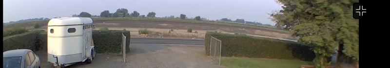 This is just half of our bushes, we got through trimming this section in less than 20 minutes.