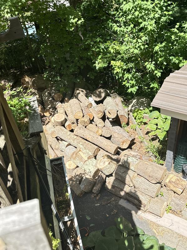 More to cut…
