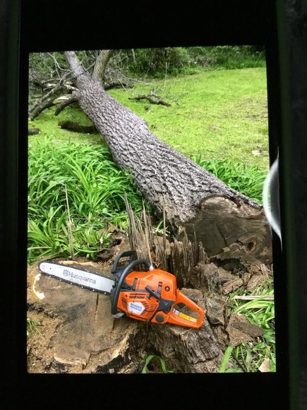 Photo - commentaire 8.