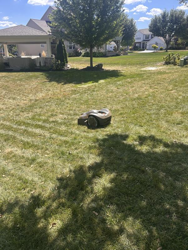 420 iQ cutting grass