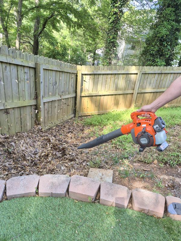 getting backyard in order