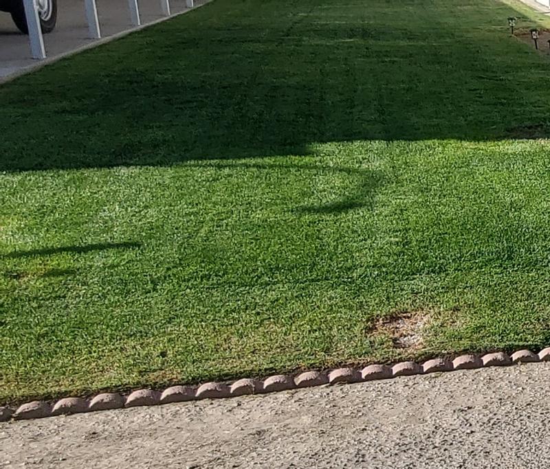 Leave the yard nice and crisp