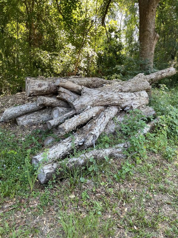 Photo - commentaire 3.