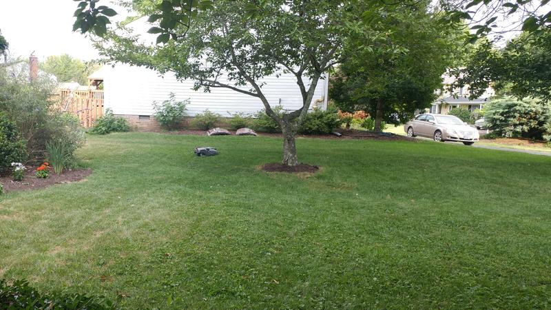310 Cutting our front lawn (secondary) area.