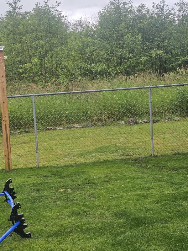 Cut that tall grass with ease