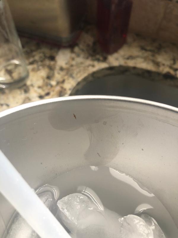 Photo submitted with review of product